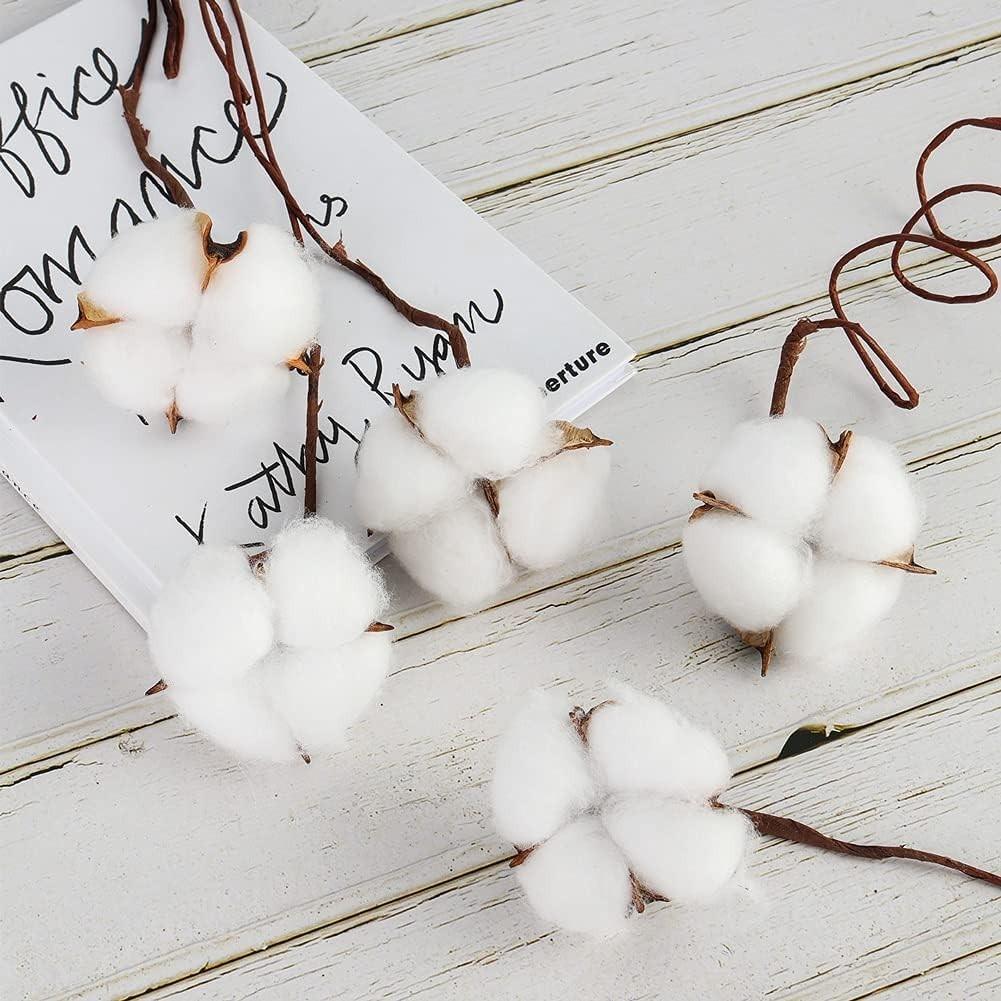 “DomeStar 30PCS Natural Dried Cotton Stems 15″” Tall, Rustic Cotton Sprigs for V