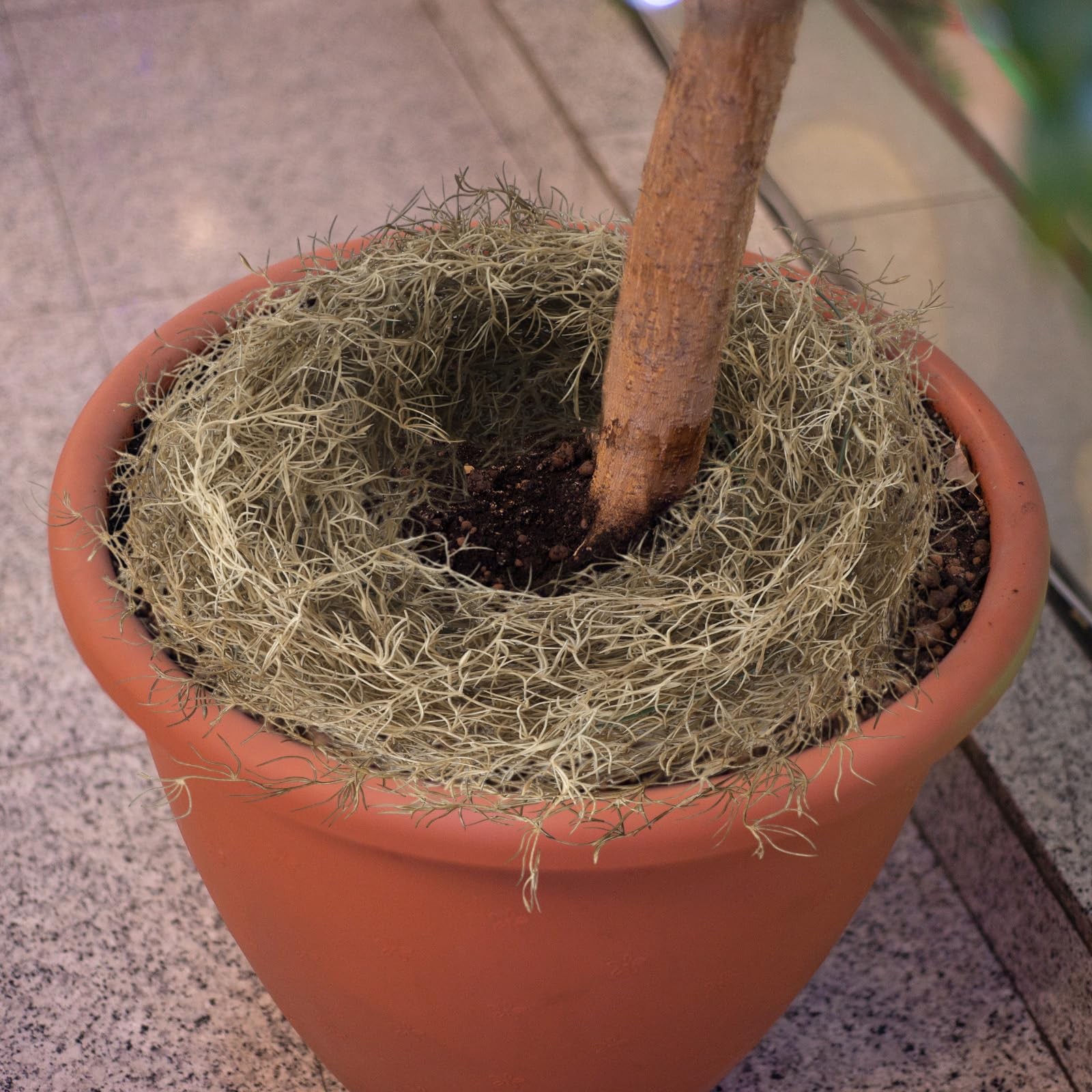 Spanish Moss 41 Inch Fake Hanging Succulents Faux Artificial Vines Garland 12