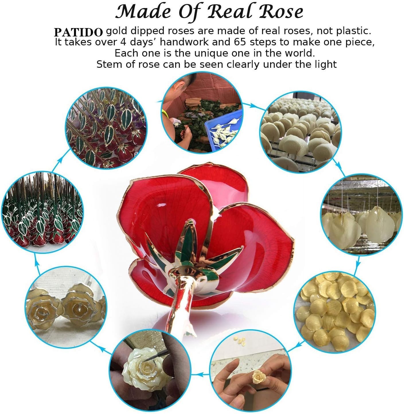Unique 24K Gold Rose Gift Set with Transparent Stand – For All Occasions