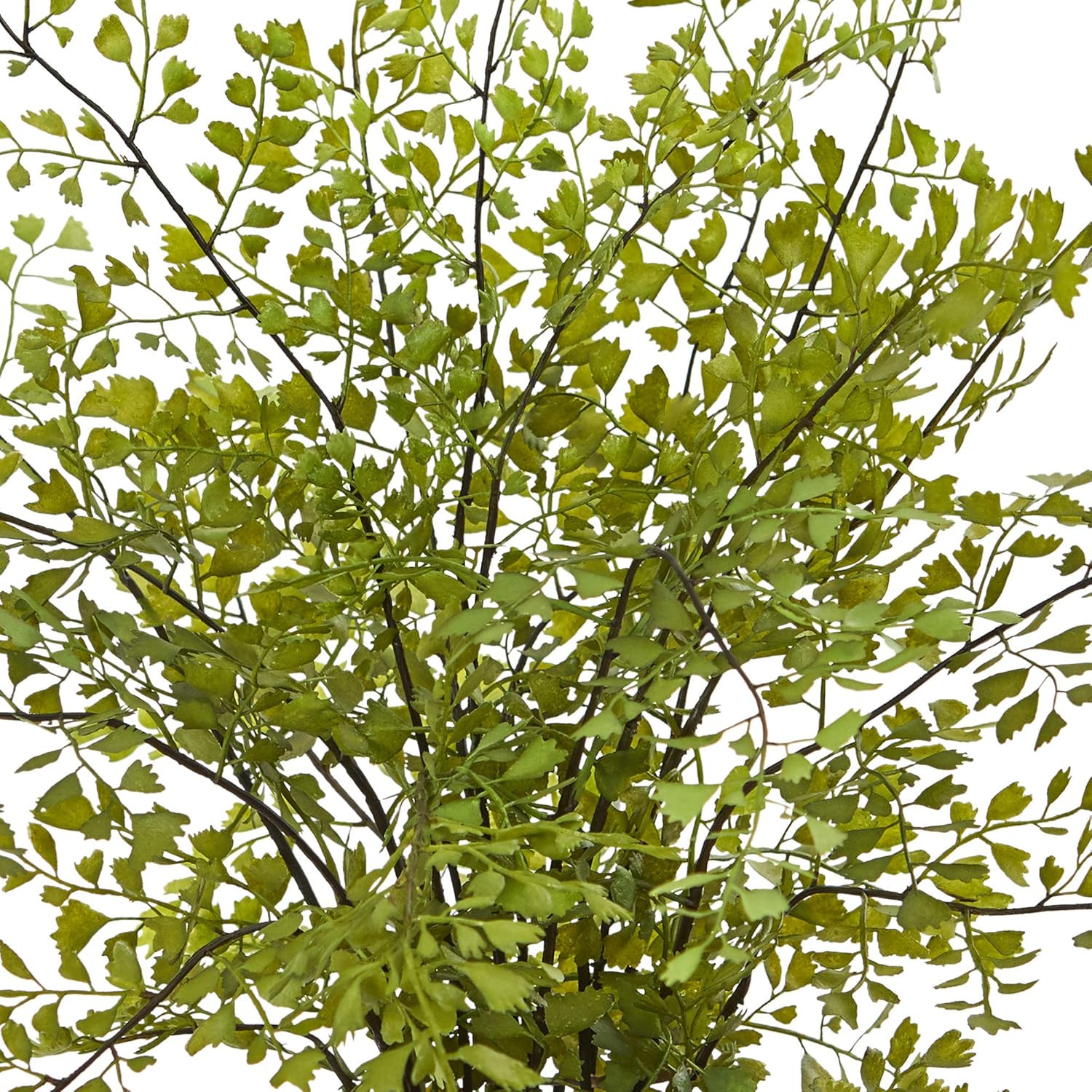 4251 Maiden Hair Artificial Plant in Planter Green Small