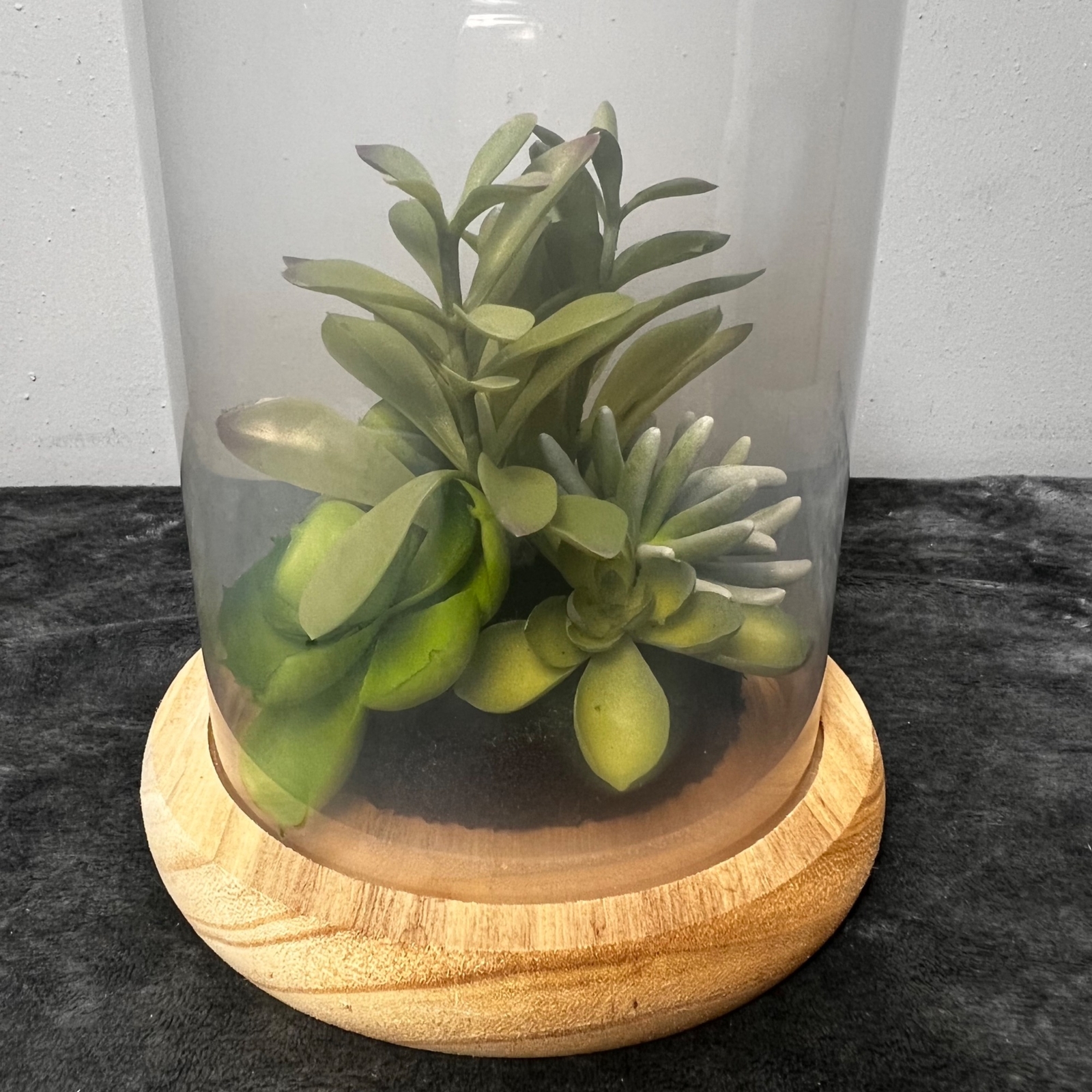 Succulent Terrarium Glass Wood Base Faux Plants Decorative Globe Centerpiece