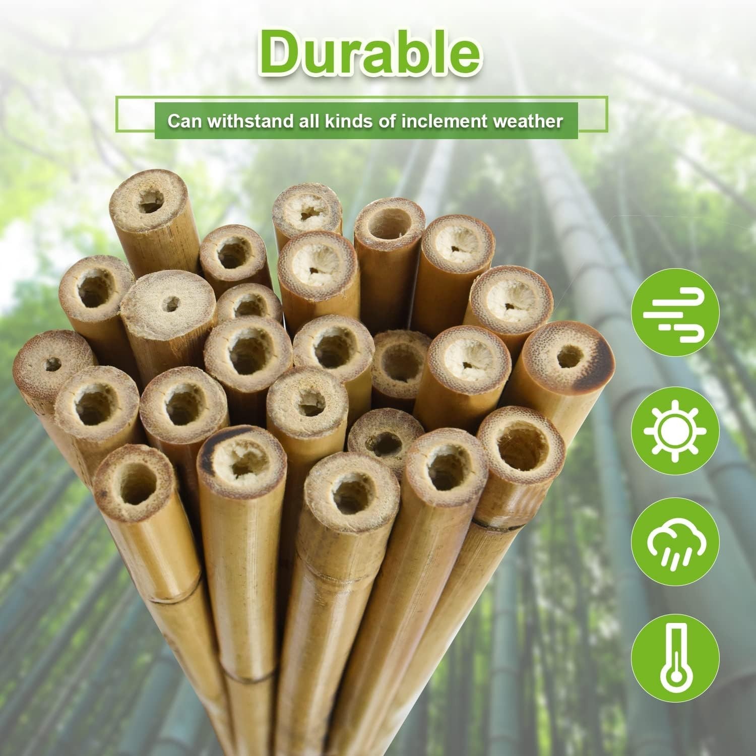 25Pcs 1/2″ D Thicker Heavy Duty Bamboo Stakes 4Ft Plant Stakes Natural Garden St