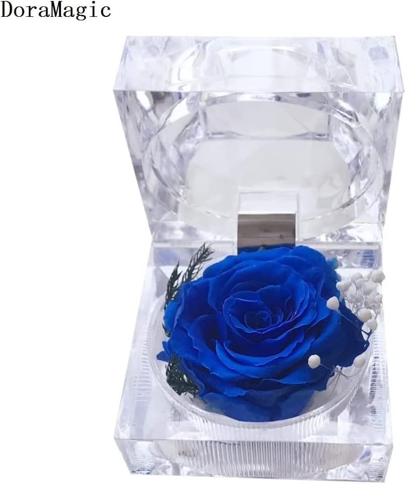 Preserved Rose Real Forever Rose in Mini Clear Ring Box, Eternal Flower Rose Gif