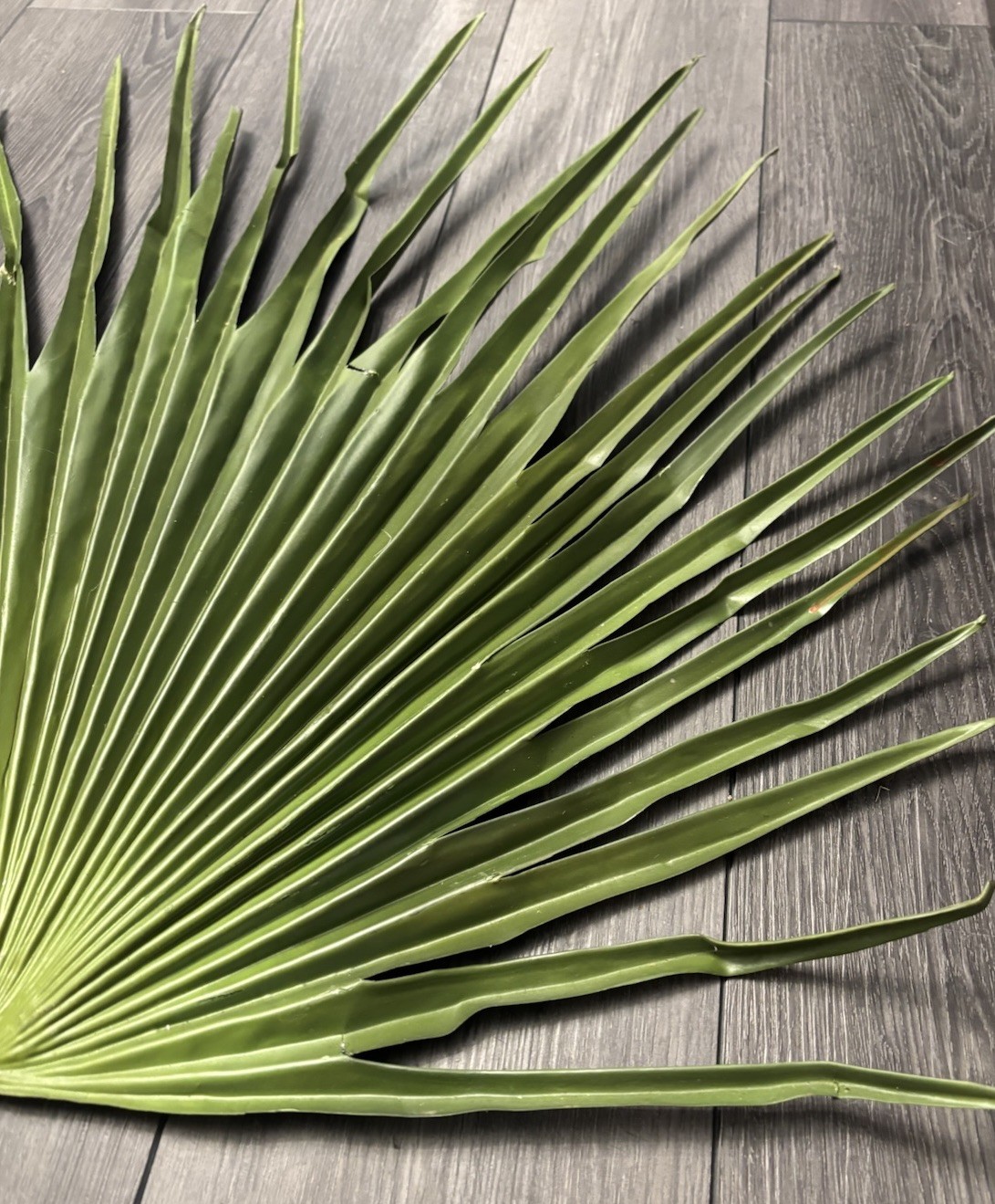 Large Fan Palm Leaf Stem 58” Tropical Boho Coastal Wedding Home Decor Prop