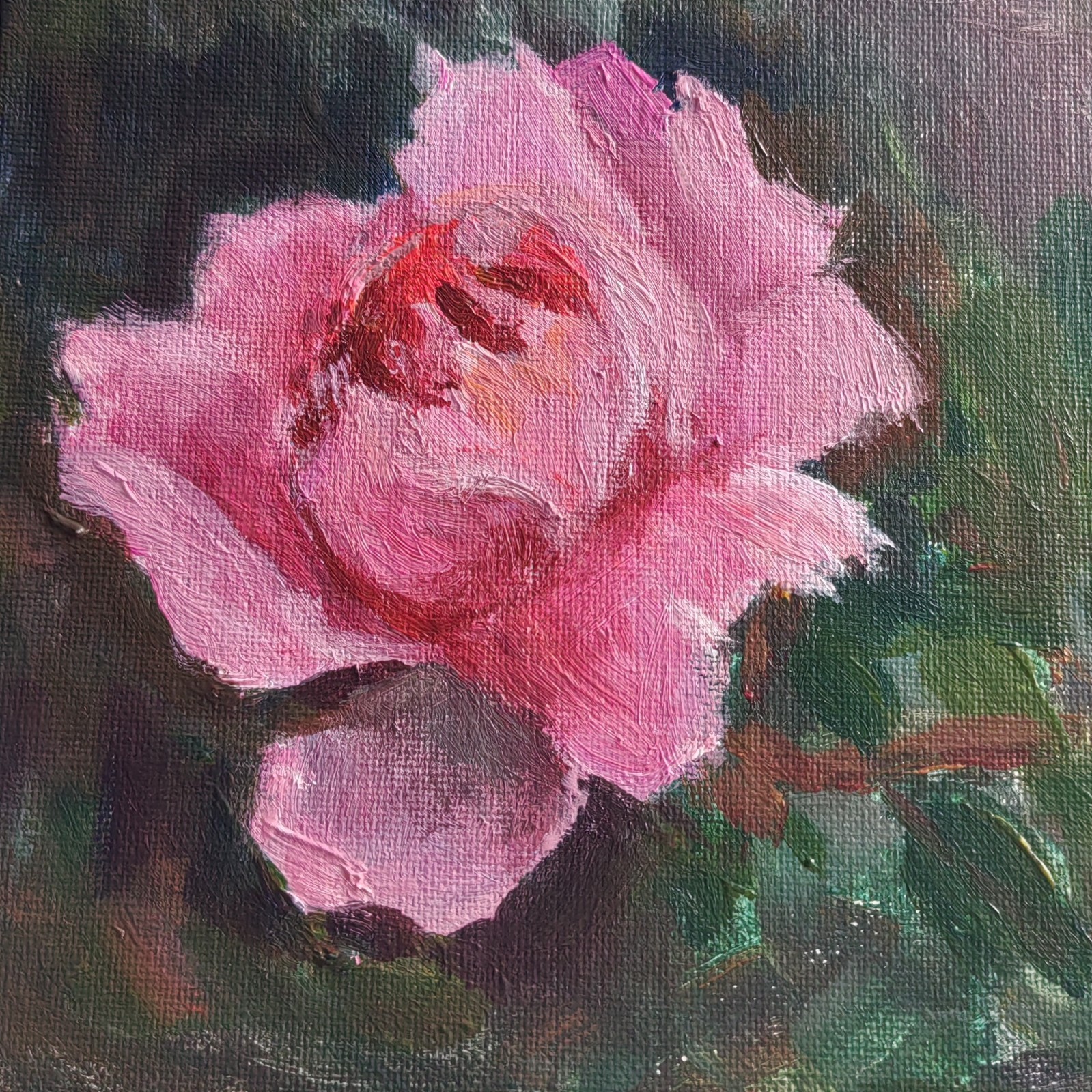 Pink Rose Original Acrylic Painting 6x6in Canadian Artist_gift Idea_home Decor