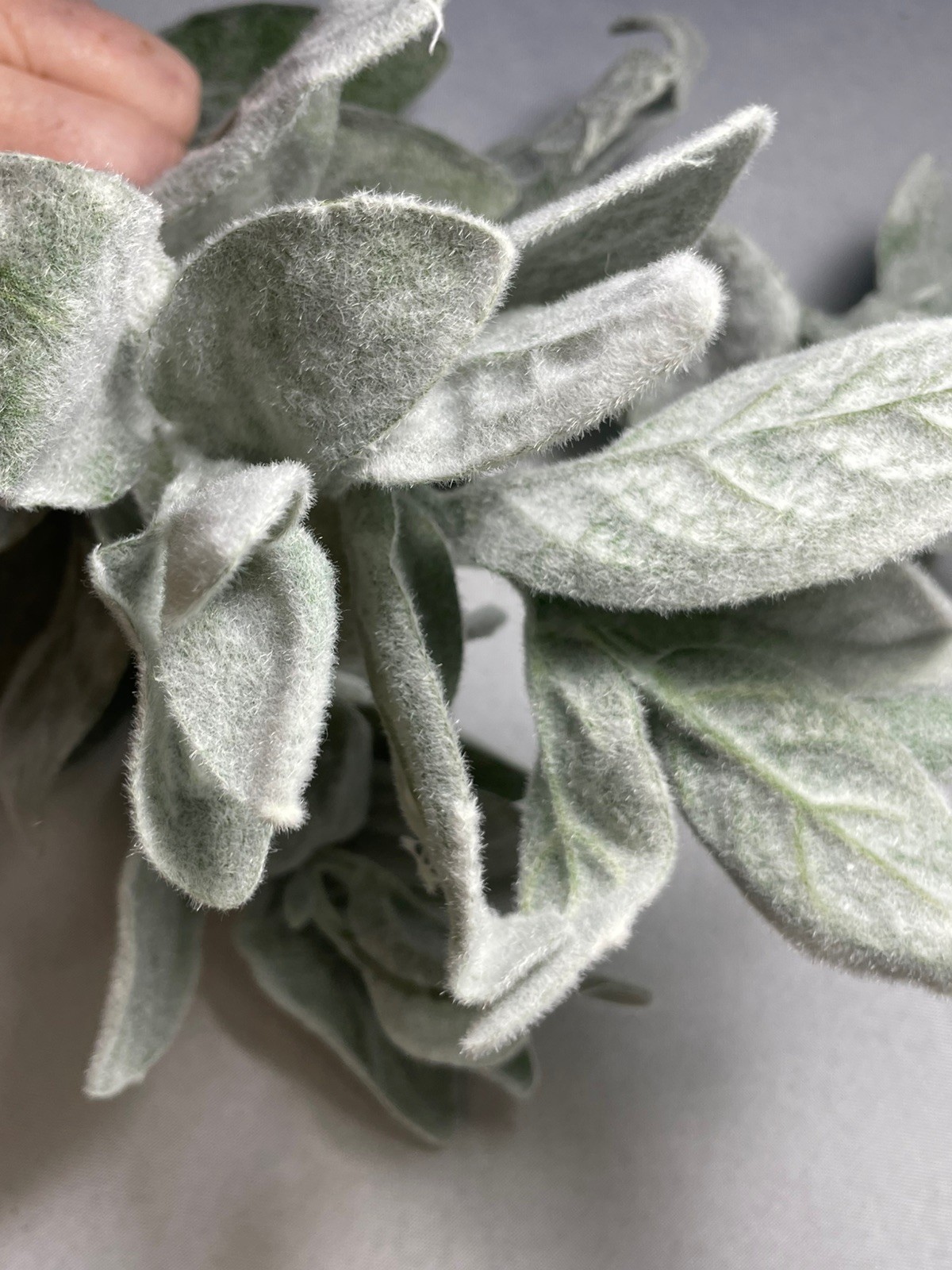Lamb’s Ear Floral Stem Artificial Hobby Lobby