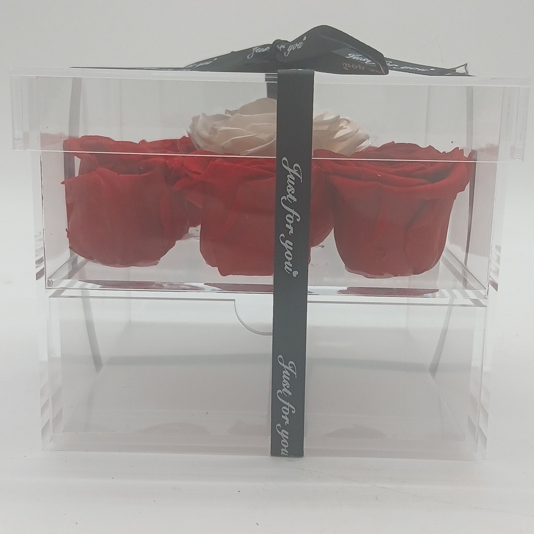 Denana Boutique Just For You Forever Roses 9-8 Red 1 White New