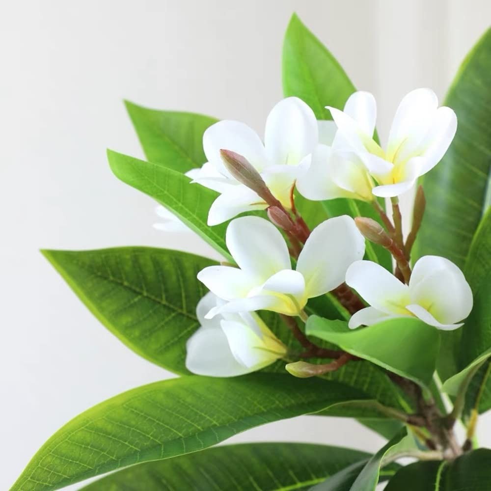 35.5 Inch Artificial Flowers Artificial Frangipani Flower 2 Pack Lifelike Rea…