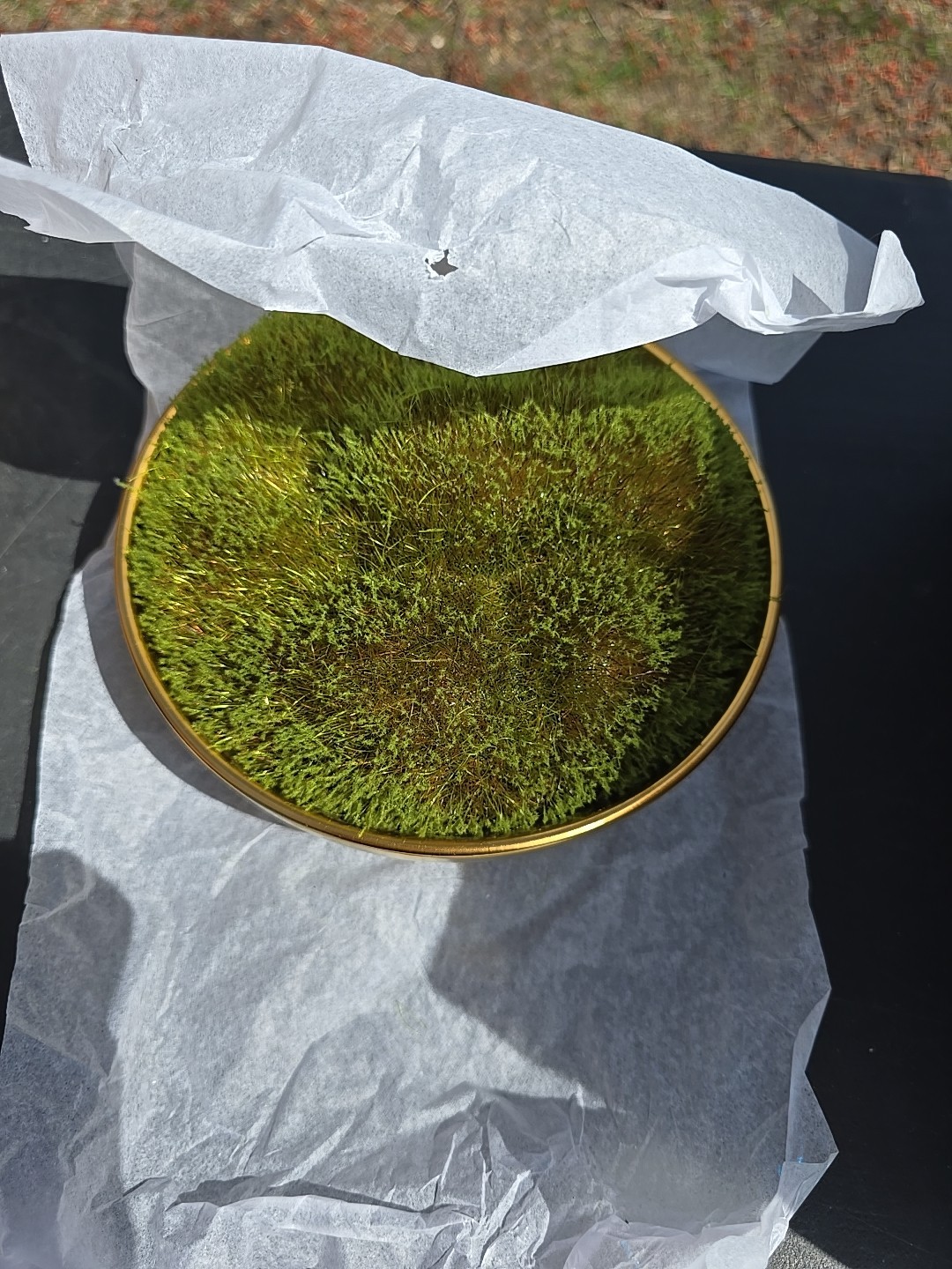 13023 Faux Floral Decor Moss in Gold Ceramic Bowl Indoor Tabletop New