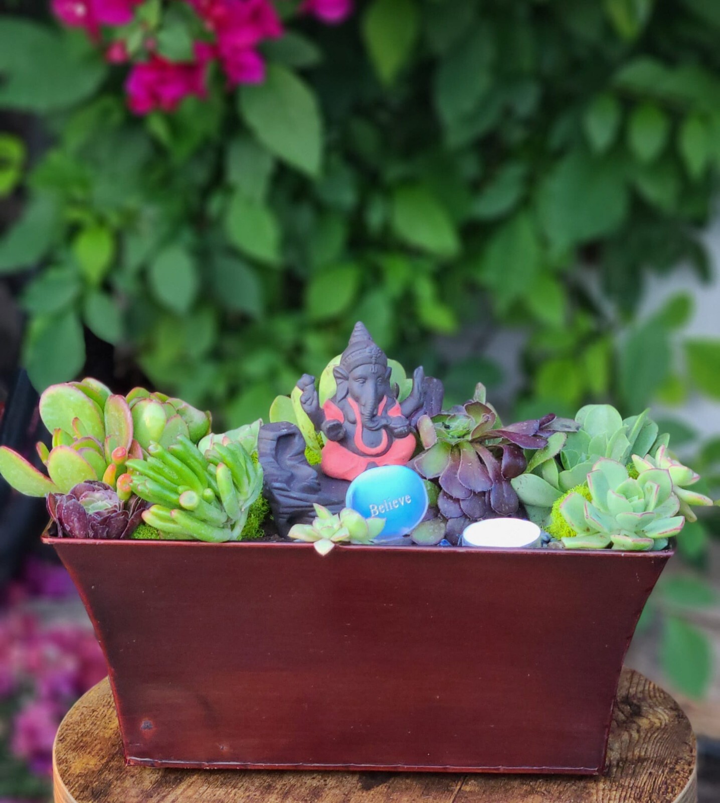 Mini Zen Garden with Natural Succulents + crystals for the Interior of the Home