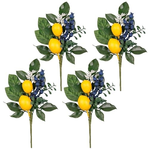 Packs Spring Summer Picks with Lemons Blueberry Eucalyptus Leaves, 4