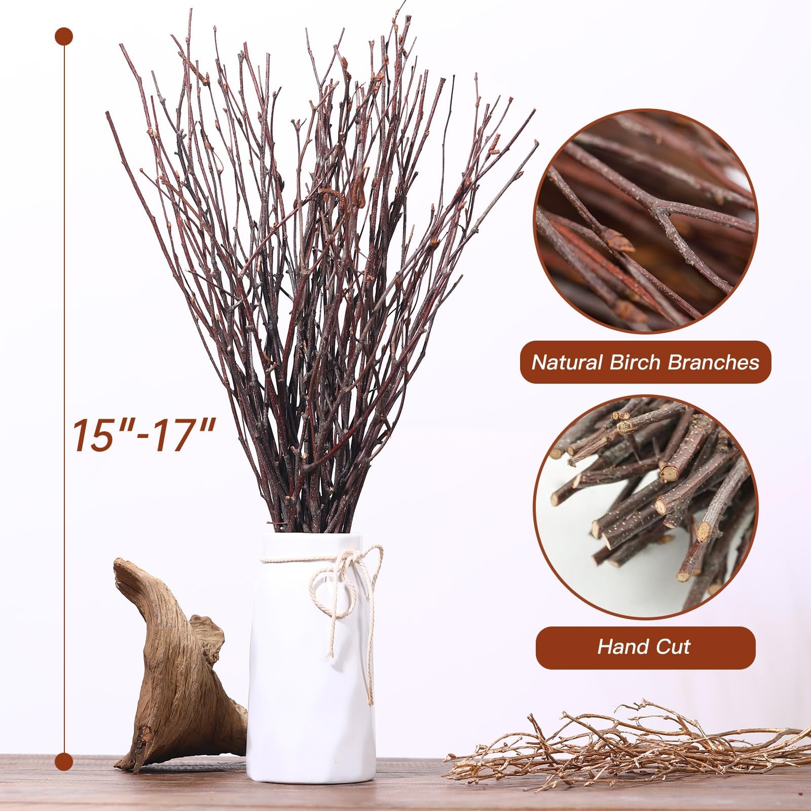 30 PCS Real Dried Birch Twigs 17 Inch Natural Decorative Branches Crafts Vase