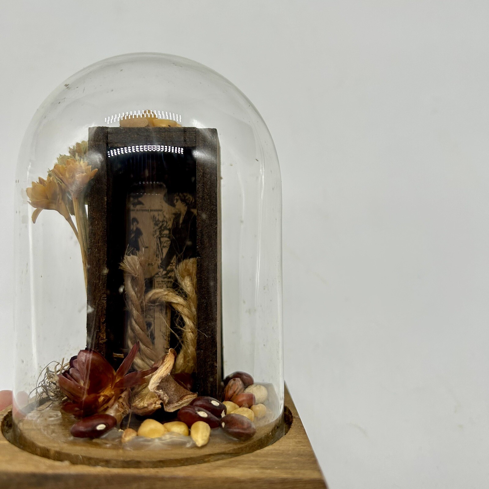 Vintage Leonard Creations California Glass Dome Cloche Dried Flowers Shadow box