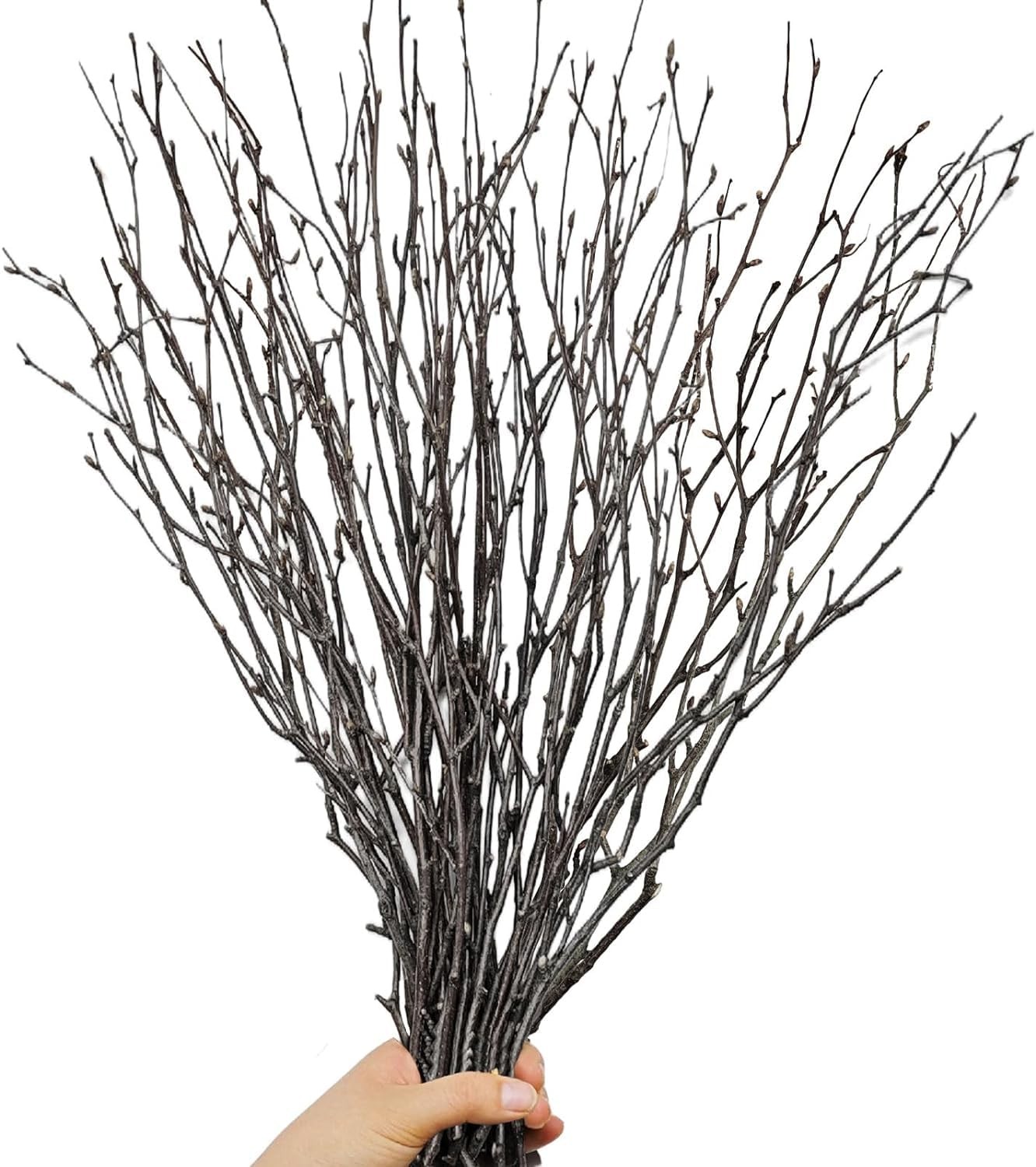 30Pcs Real Dried Birch Twigs – 16” Decorative 100% Natural Birch Branches | East