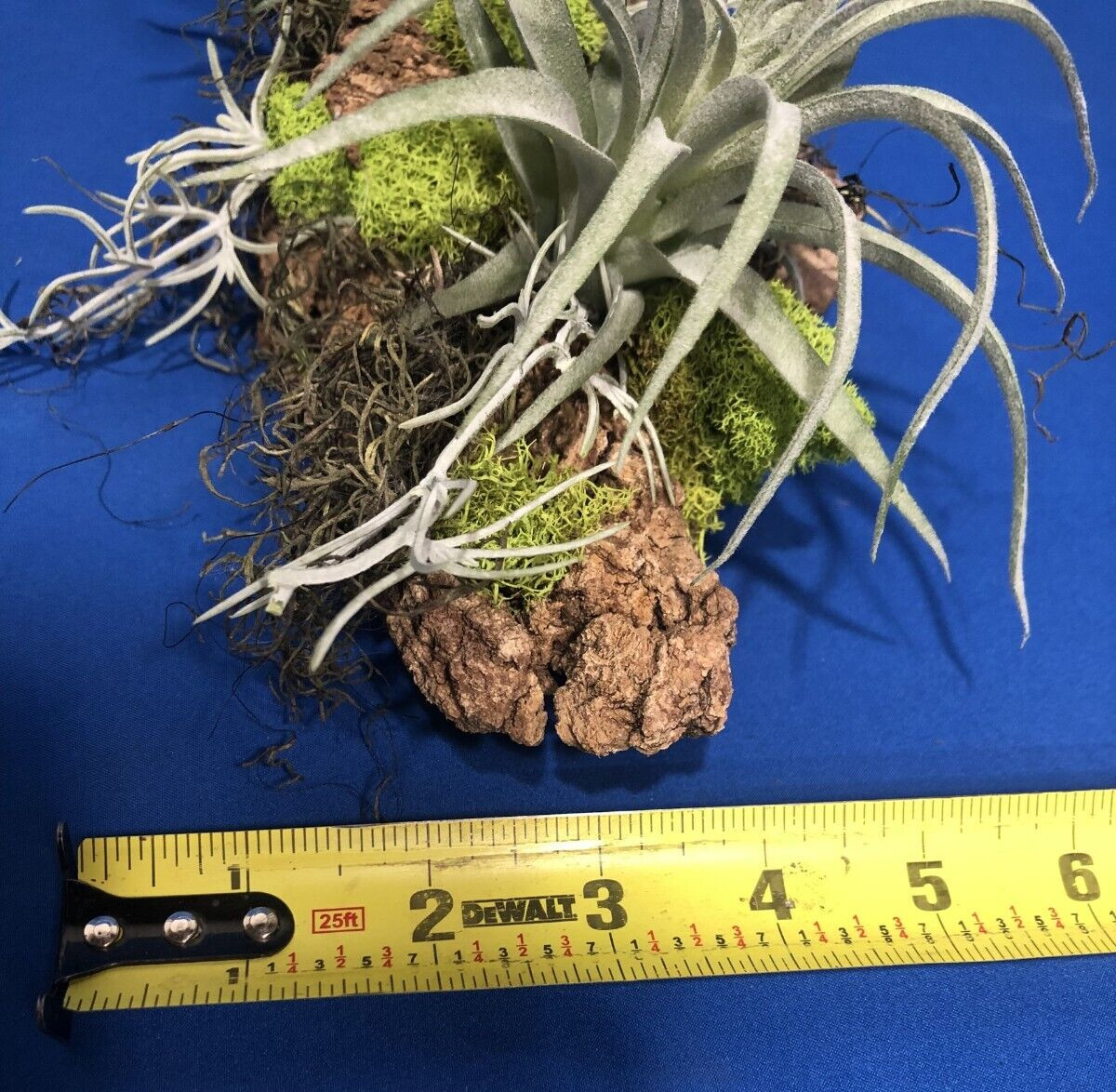 Artificial Succulent Air Plant Wall Art Home Office Mounted on Real Wood Bark