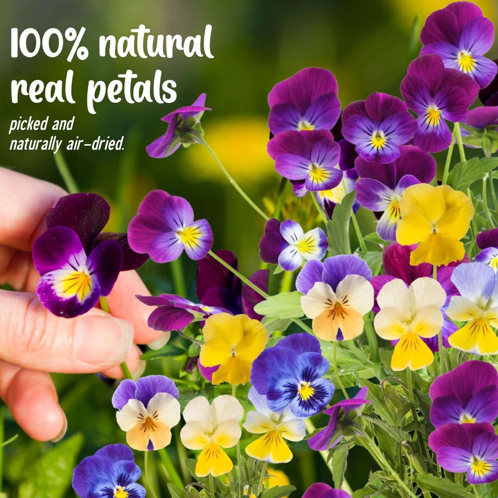 Pressed Edible Flowers, 40 Pcs 8 Kinds, Resin Jewelry Making, Purple