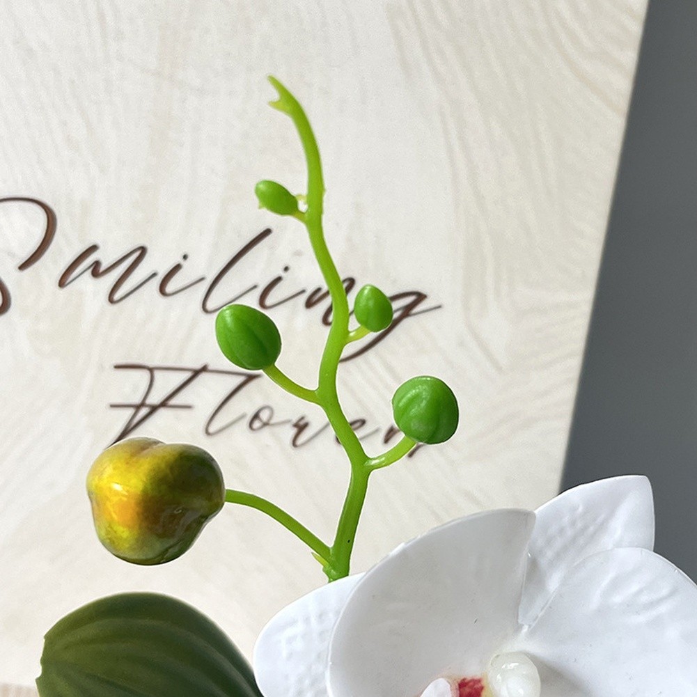 Phalaenopsis Floral Reproduction in Diamond Designed Pot for Contemporary Space