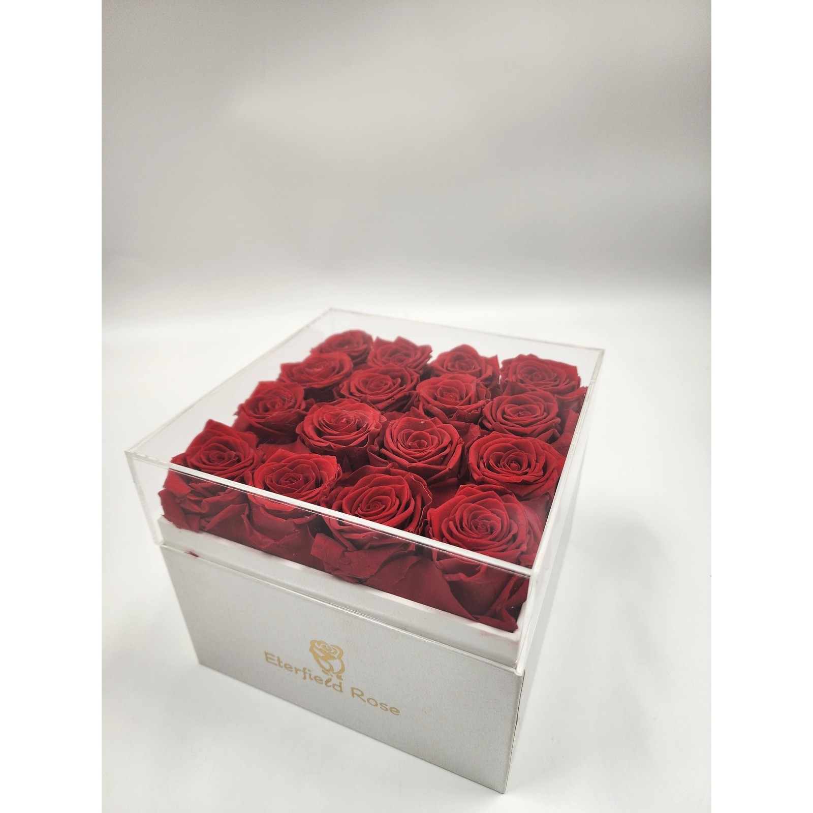 Eterfield Rose Preserved Red Roses in White Square Box with Acrylic Lid 16 Count