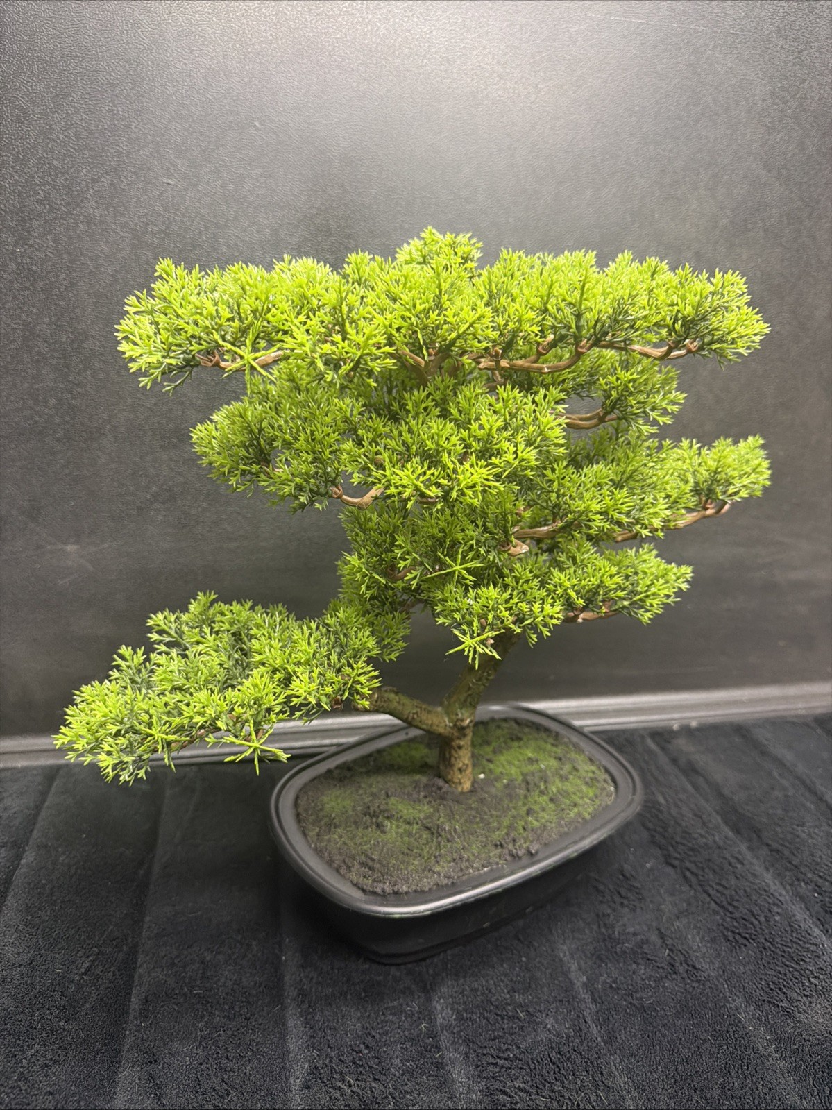 Pure Garden Artificial Bonsai Tree 14.5″ Faux Pine Topiary Potted Plant New