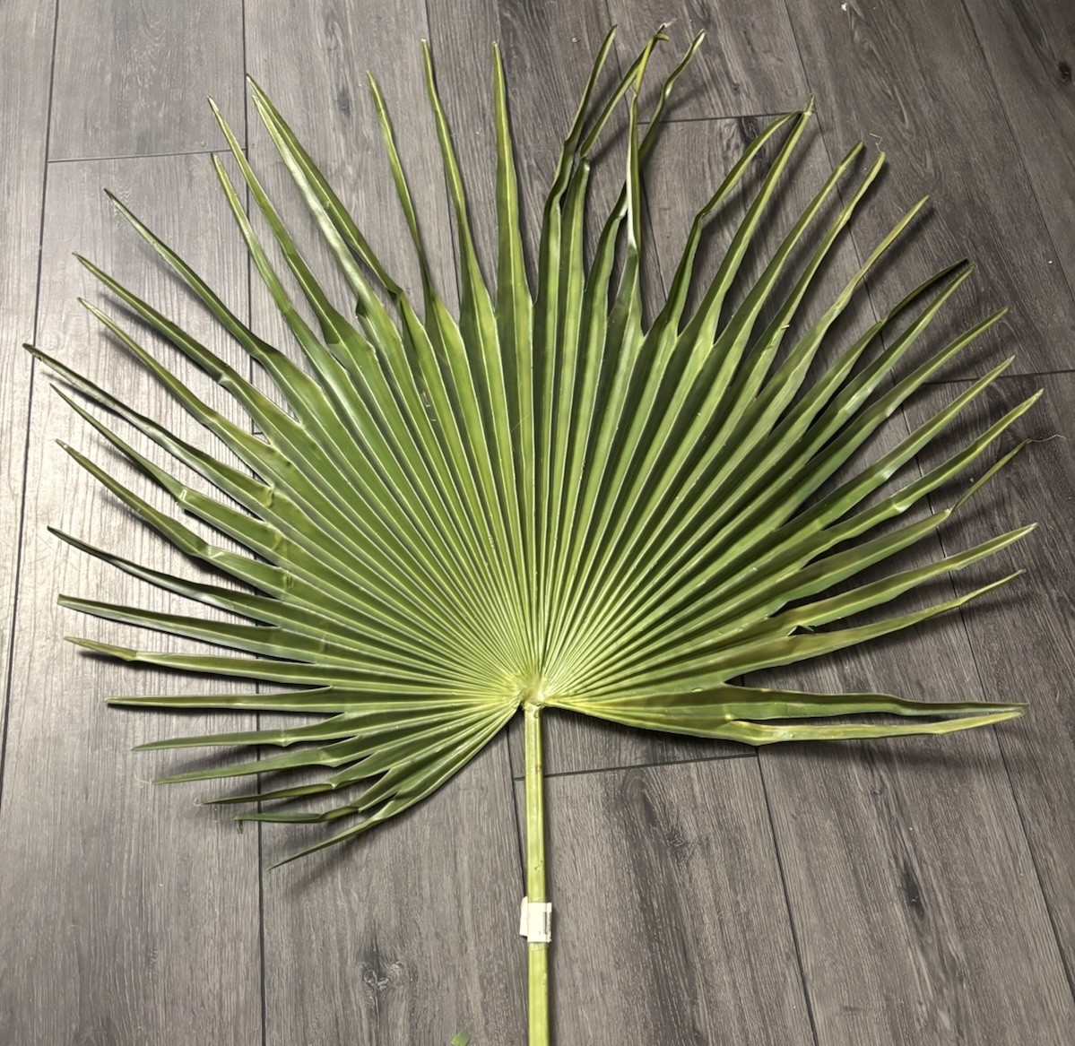Large Fan Palm Leaf Stem 58” Tropical Boho Coastal Wedding Home Decor Prop