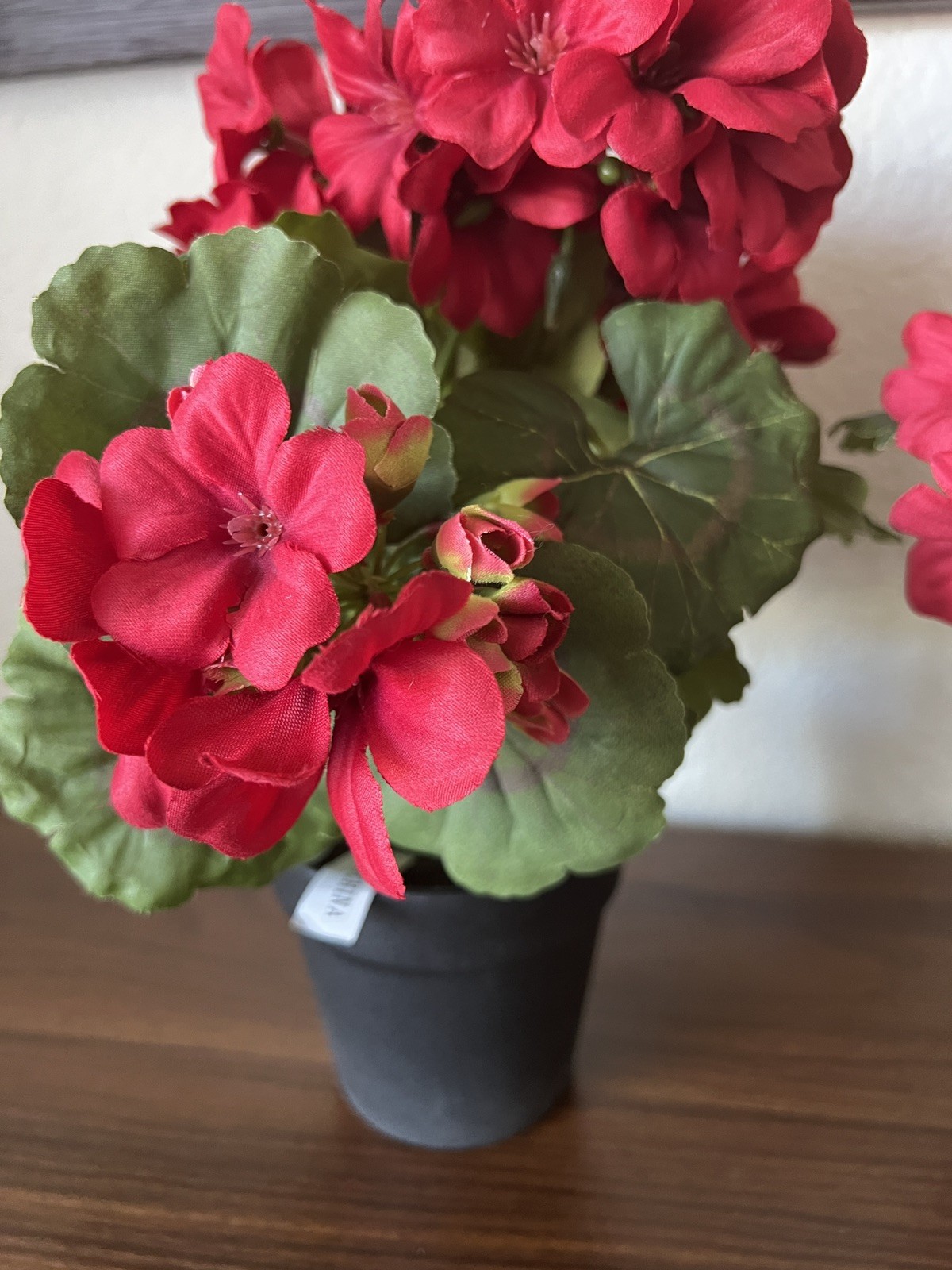 SET OF (2) 13″ GERANIUM POTTED PLANTS IN RED BY VALERIE PARR HILL Item H451619