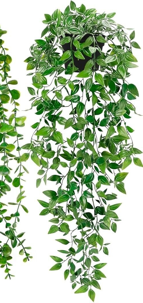2pcs Indoor Artificial Plants: String of Pearls & Mandala Vine in Pot Home Decor