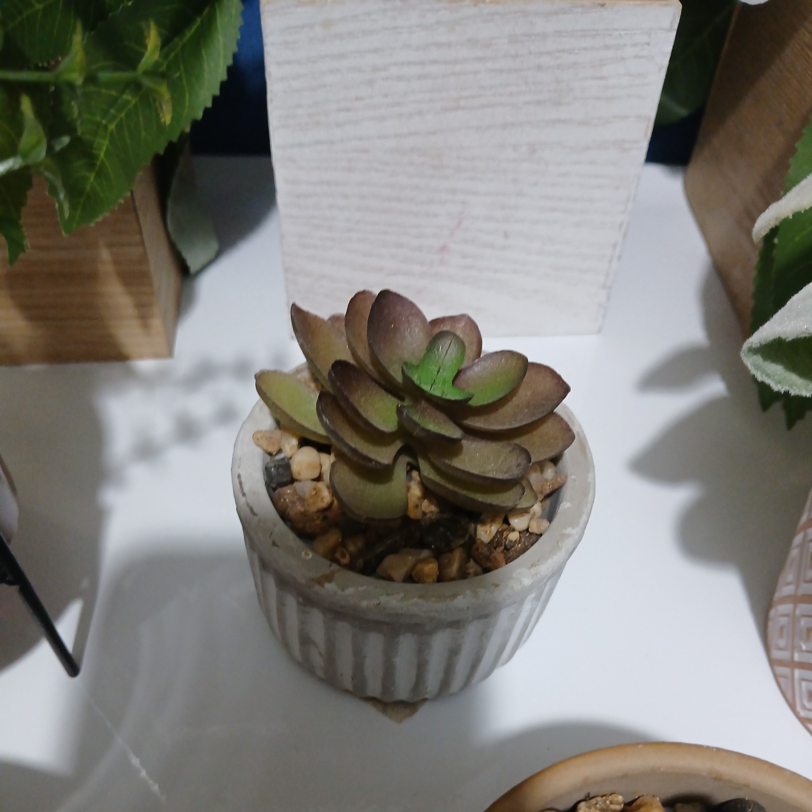 Decorative Fake Potted Succulents. New and Gently Used lot of 12