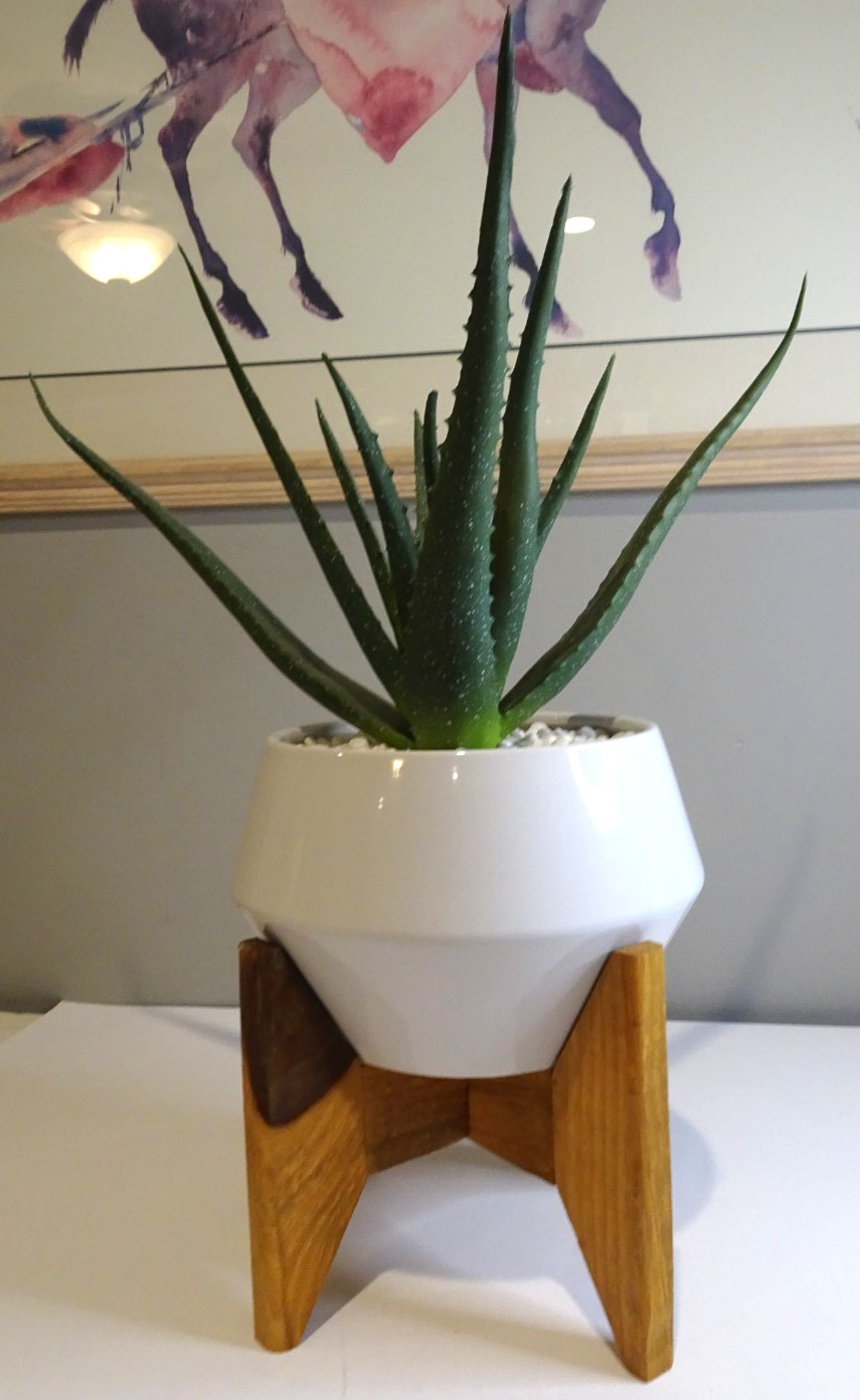 Artificial Fake Aloe Plant with White Ceramic Pot on Wood Stand 19.5 inches tall