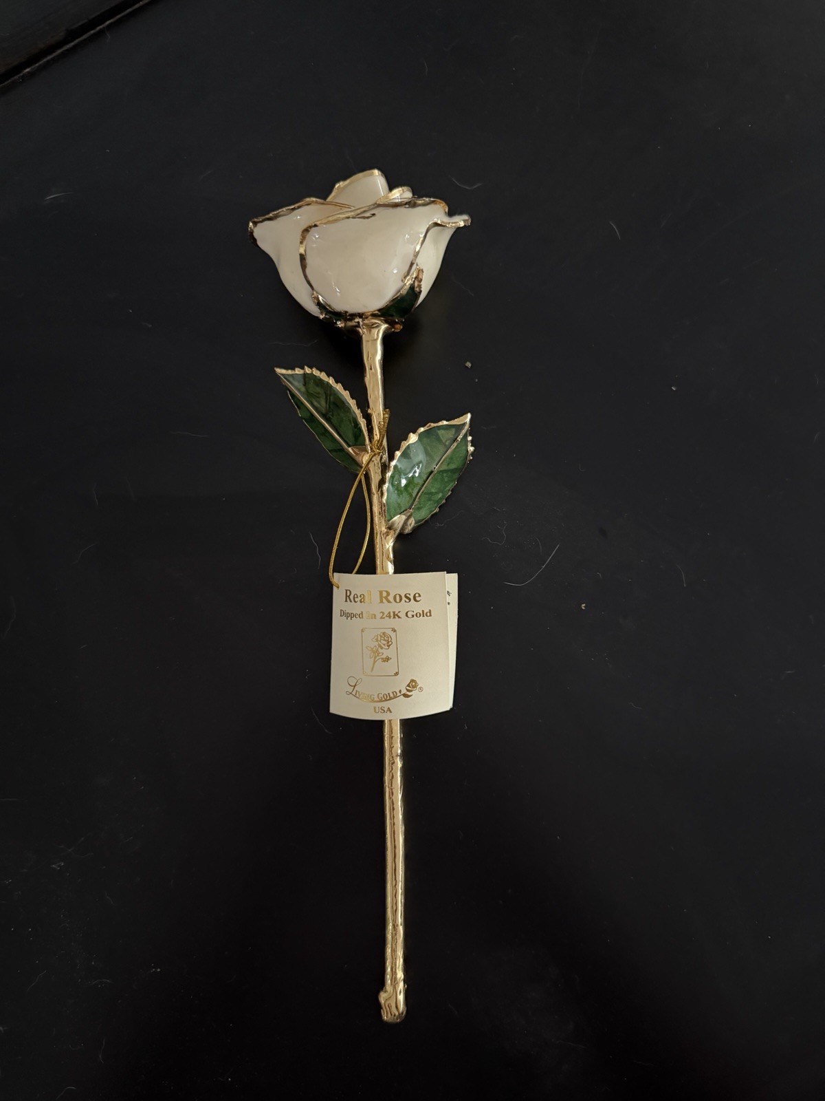 Living Gold Real Rose Dipped in 24K Gold Flower Stem, Gold/Green/White.