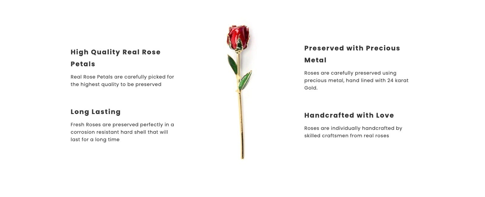 Eternal Love – Real Rose Dipped in 24K Gold ~ Fuchsia
