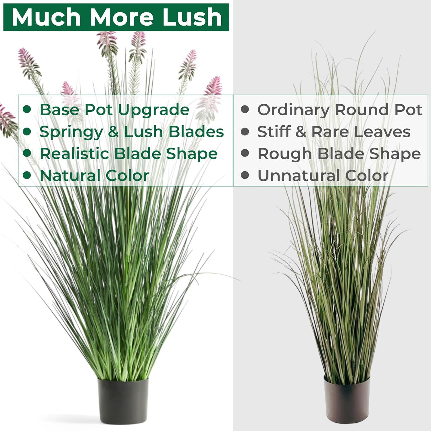 4Ft 2-Pack Horsetail Reed Grass with Purple Cockscomb Flower, 48In Tall Indoor O