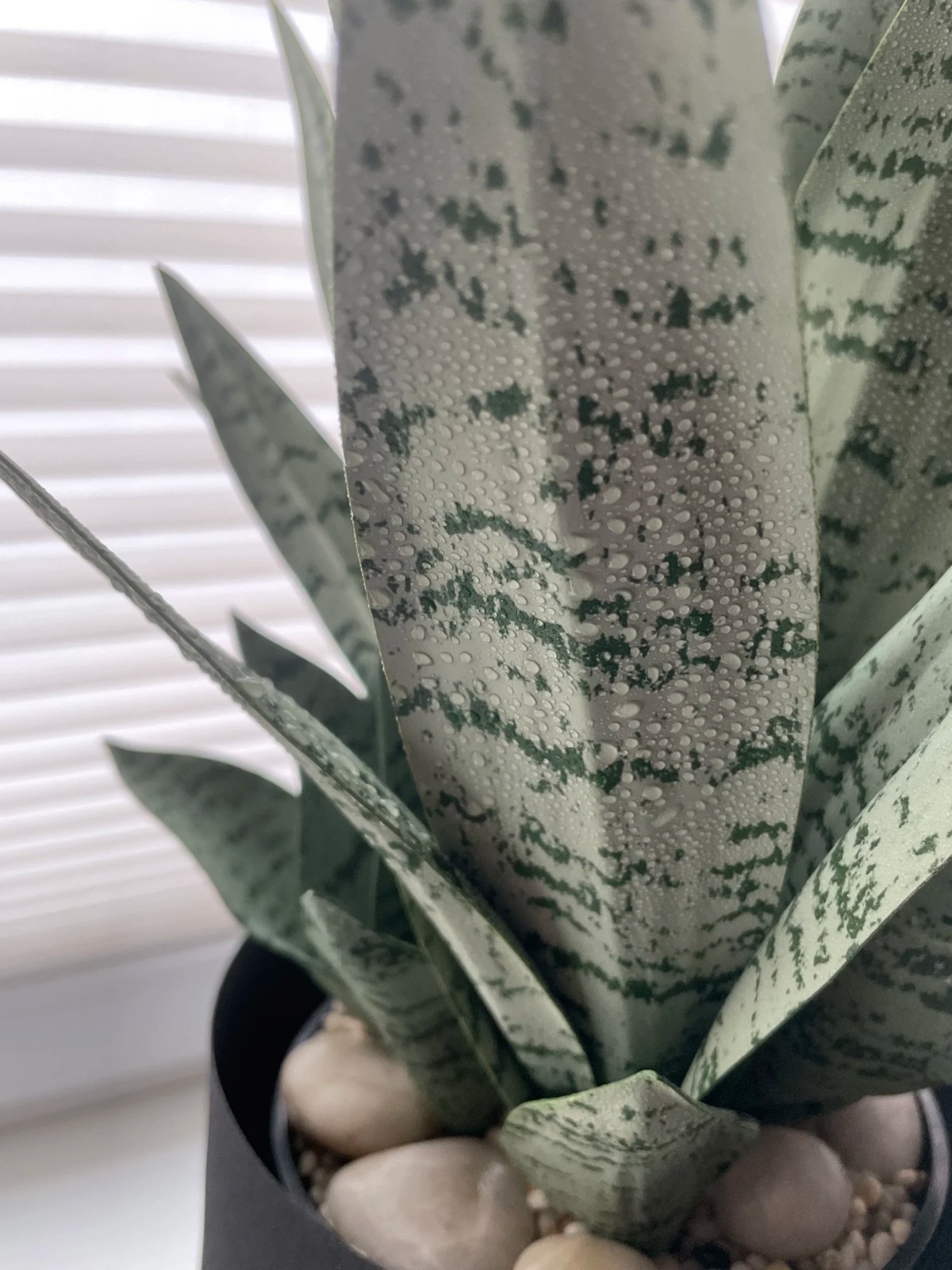 Artificial Succulent Plants Tropical Fake Leaf Bonsai for Home & Party Decor