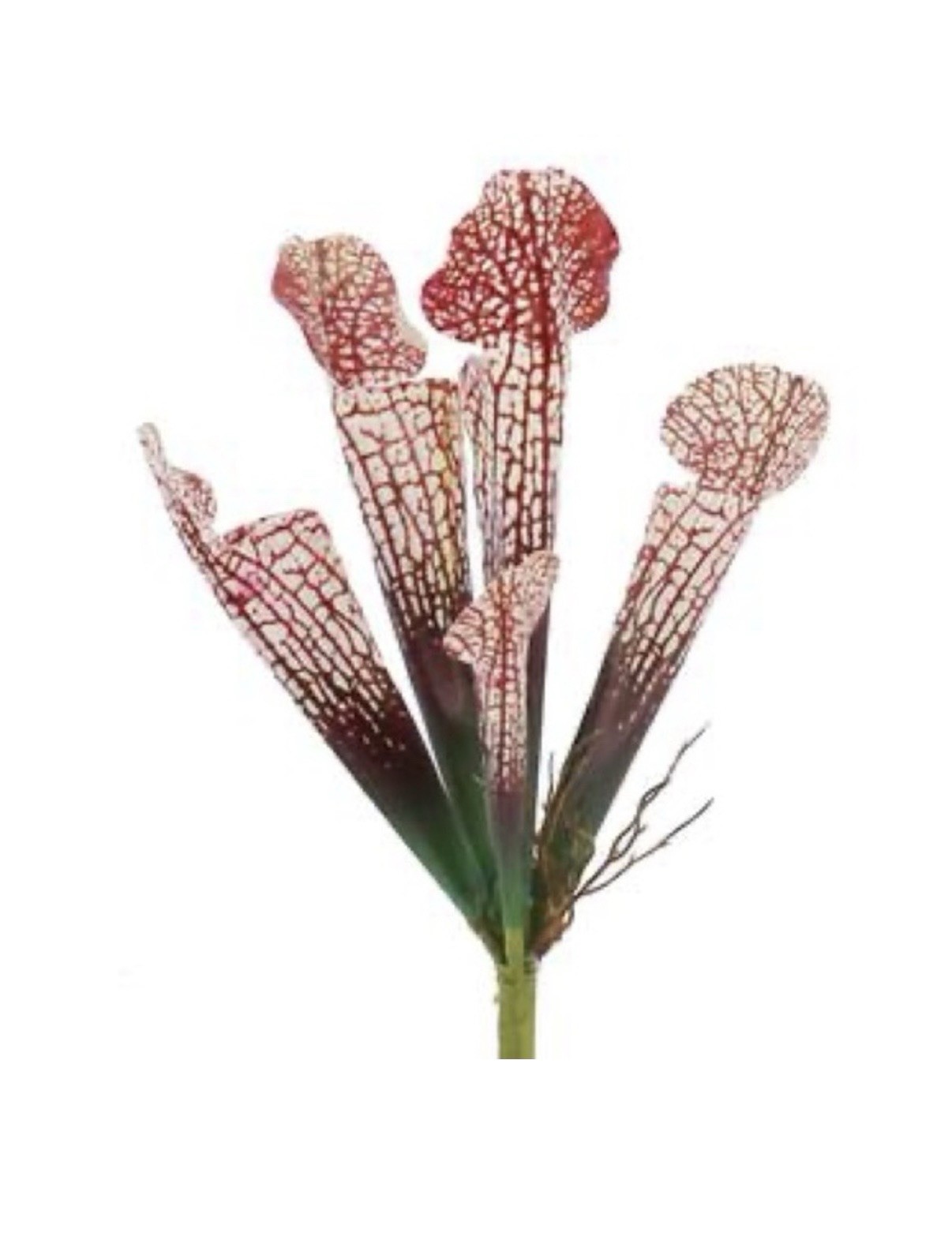 Artificial Flowers 10.5″ Pink White Mushroom Pick by Ashland