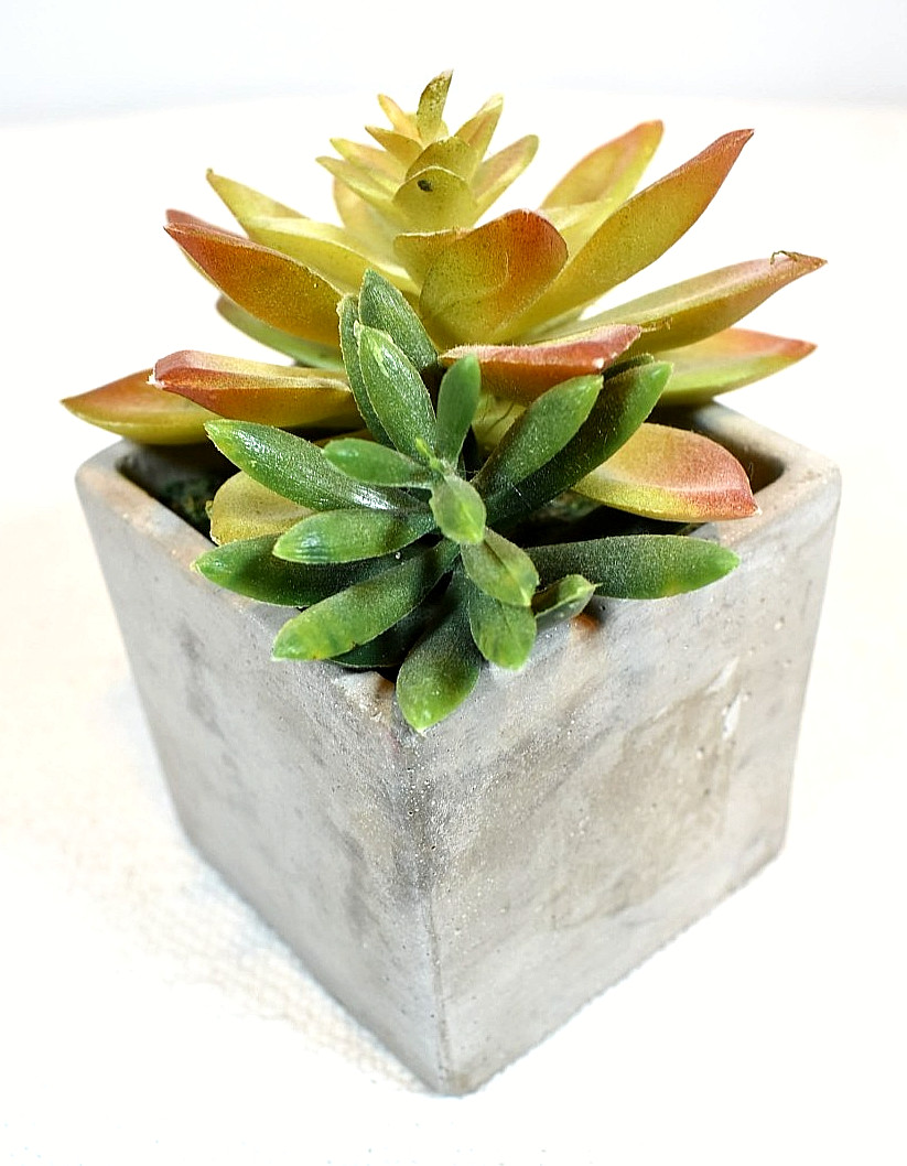 Echeveria & Echeveria/Jade Mix ARTIFICIAL SUCCULENT PLANTS, Set of 2 In Pots