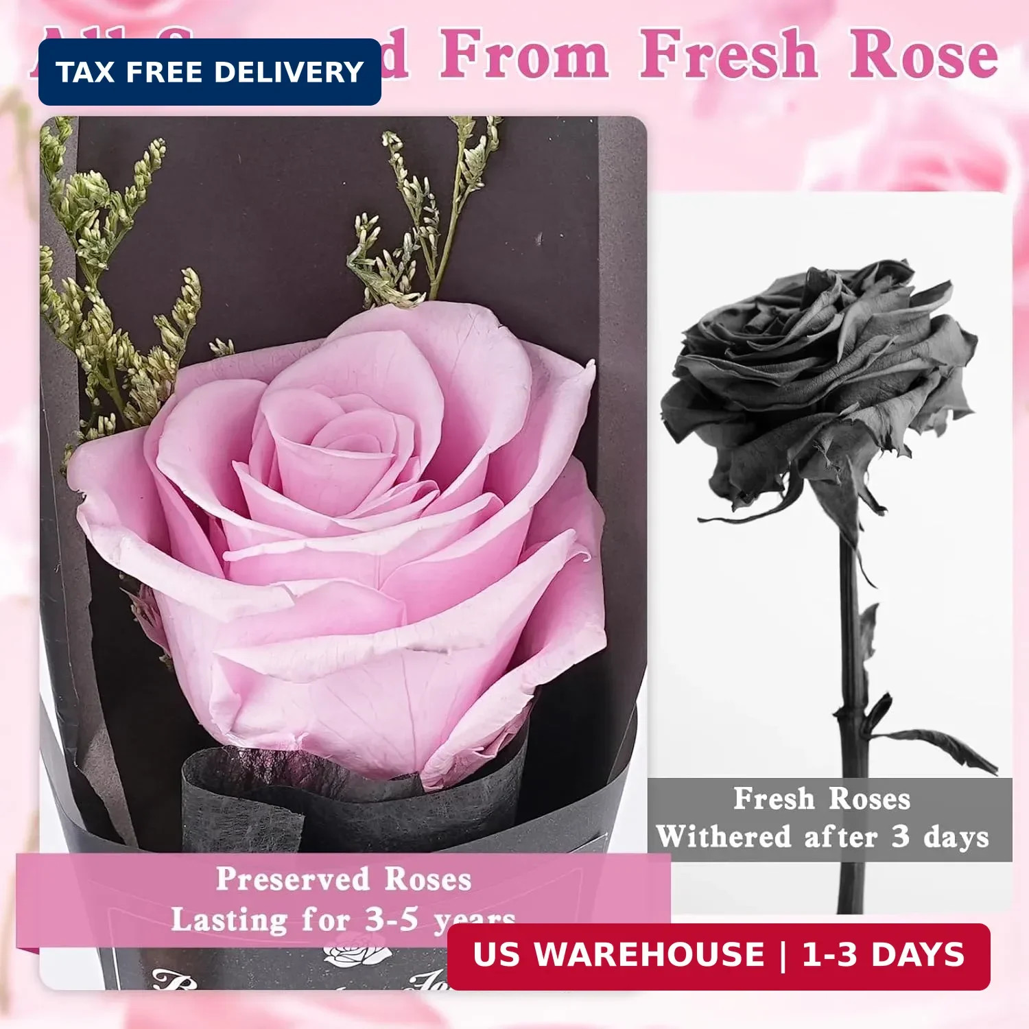 Real Pink Forever Flower Roses for Delivery Prime – Preserved Roses Eternal in G