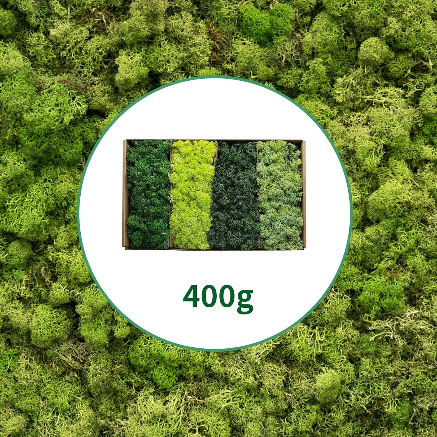 Preserved Moss 4 Color Reindeer Craft Decorations 14 OZ Green Artificial Moss