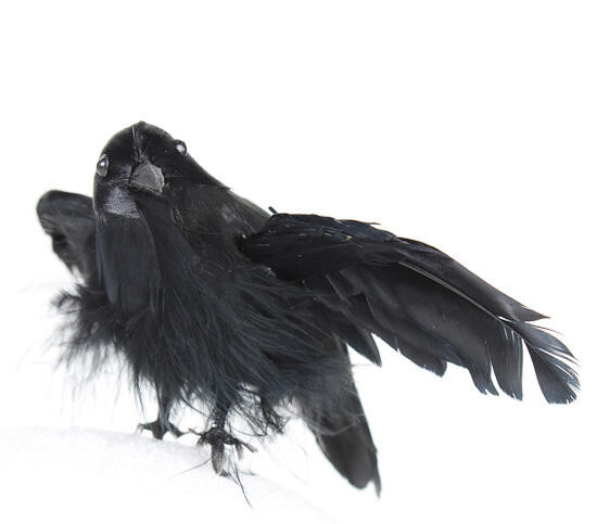 Package of 6 Flying Artificial 4-1/2″ Tall Crow Black Feathered Birds