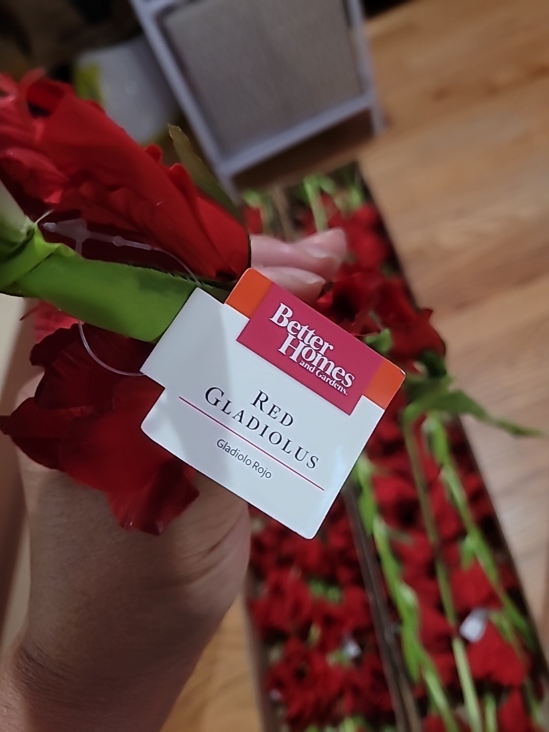 6 Pk Artificial Red Gladiolus Flowers Stem approx 36 inch long By Better Homes