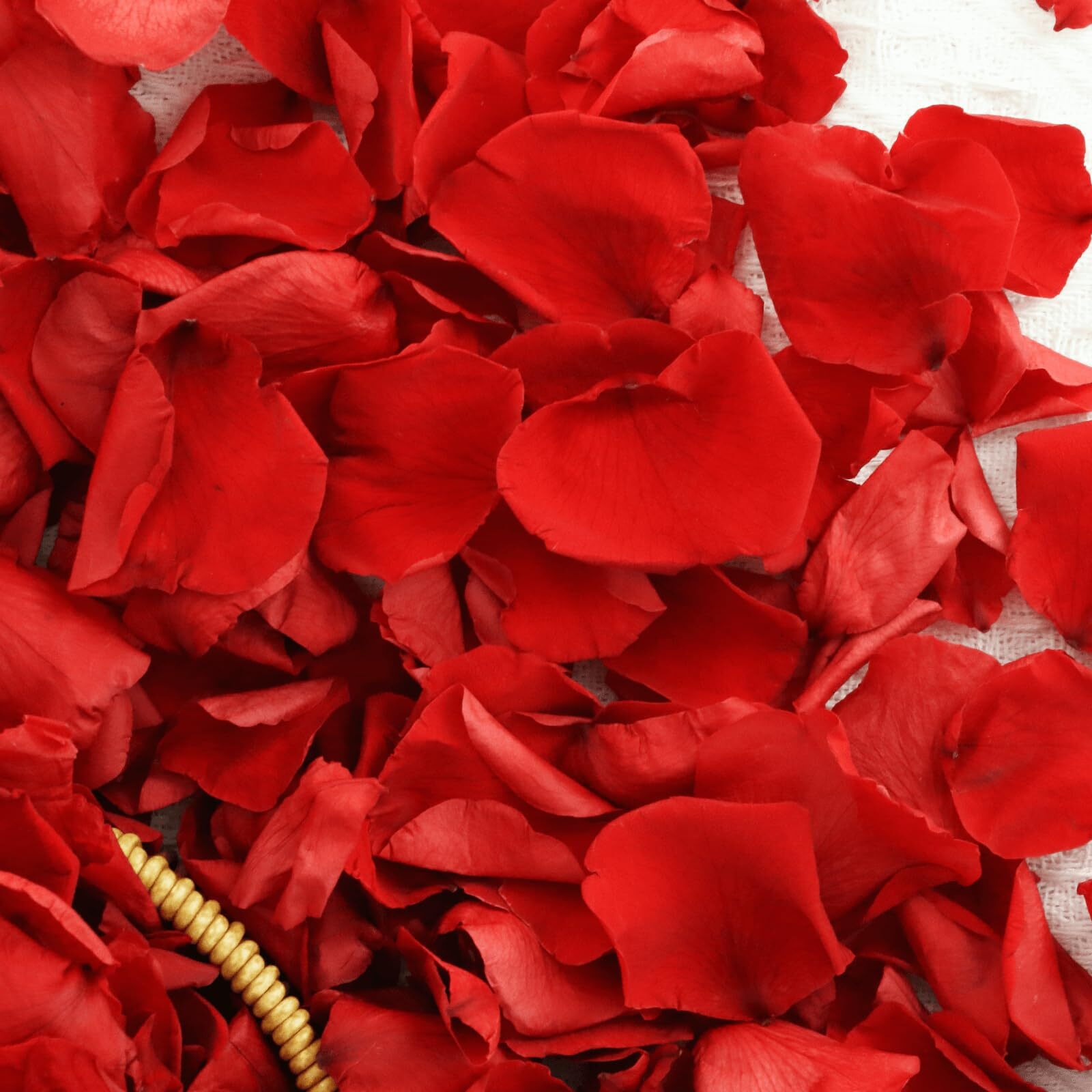 Dried Real Red Rose Petals Preserved Flower Petals for Wedding Party Decor