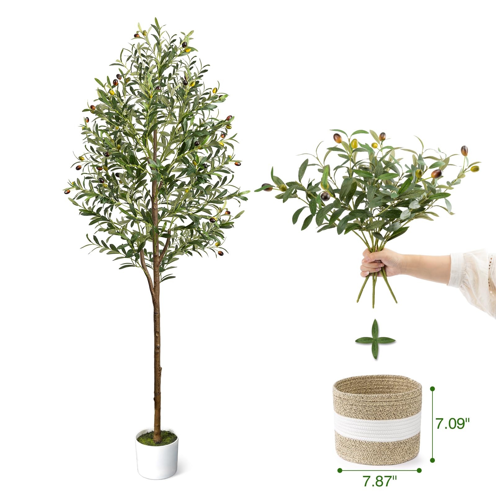 LuceAlberi 6FT Artificial 6in, 6ft Olive Tree With Branches&basket Green