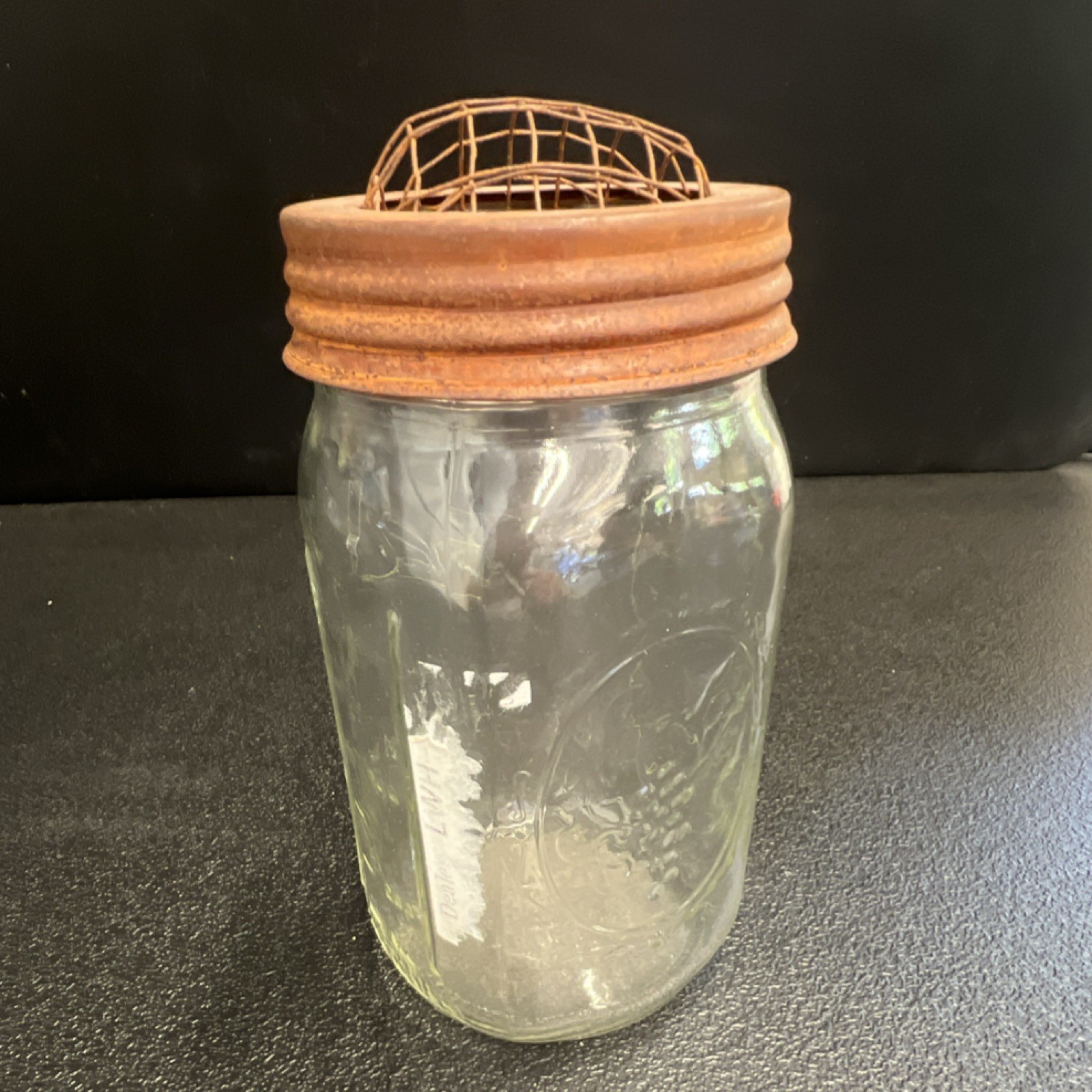 Ball Wide Mouth Glass Mason Jar Flower Vase with Metal Grid Lid
