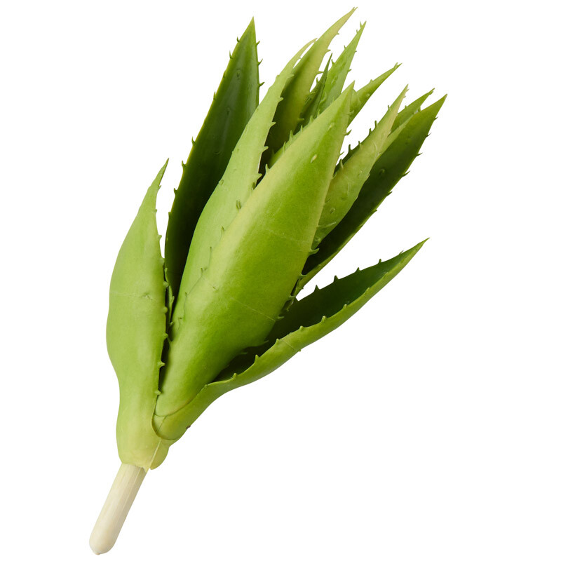 Green Vinyl Closed Aloe Plant Pick