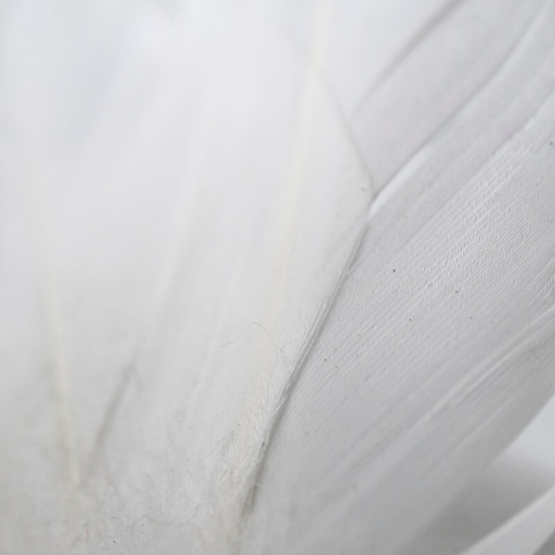 Package of 12 Artificial White Flocked 5″ Swans with Feathered Accents