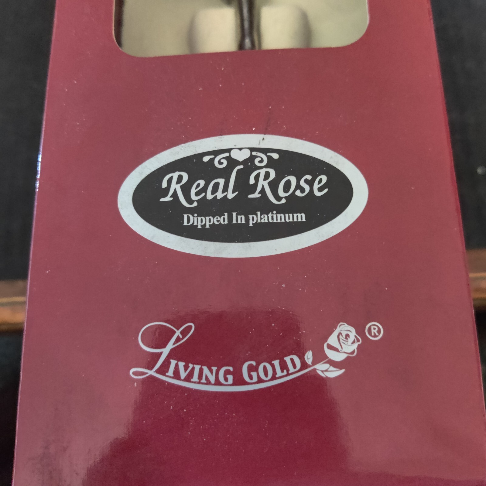 Living Gold Real Rose Dipped In Platinum
