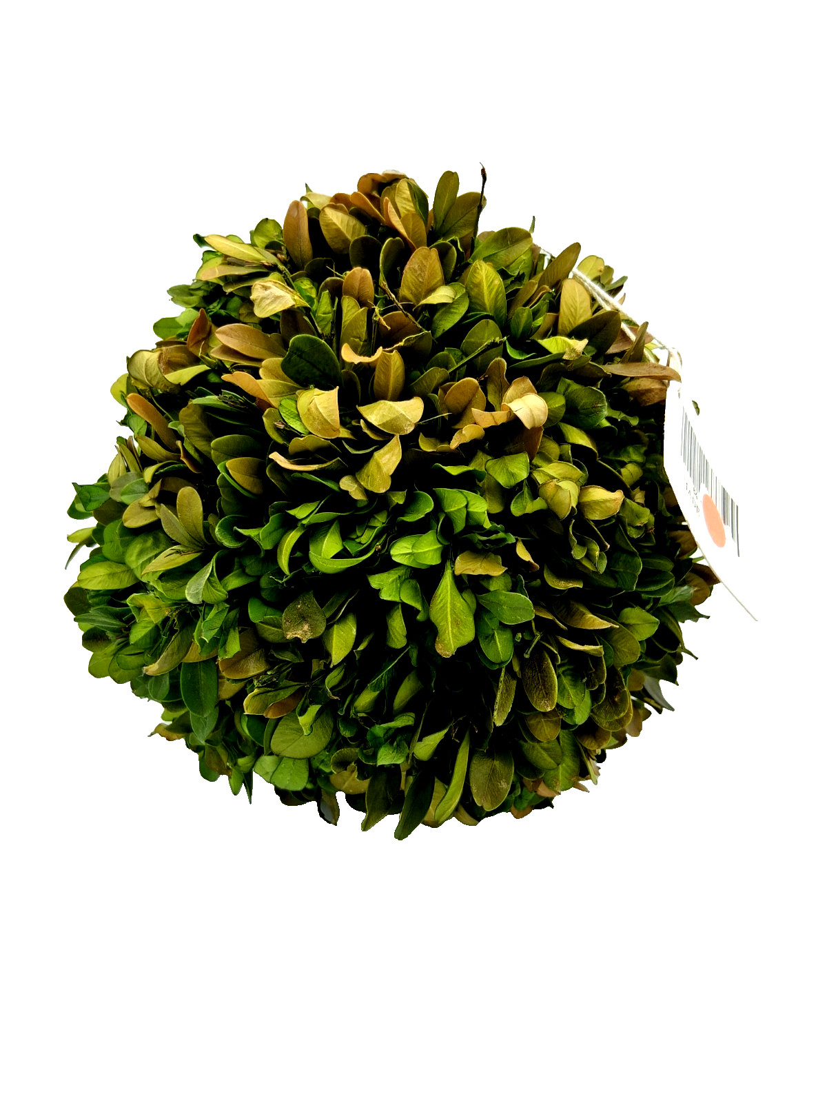Decorative Permanent Botanicall Boxwood 7-inch Topiary Ball