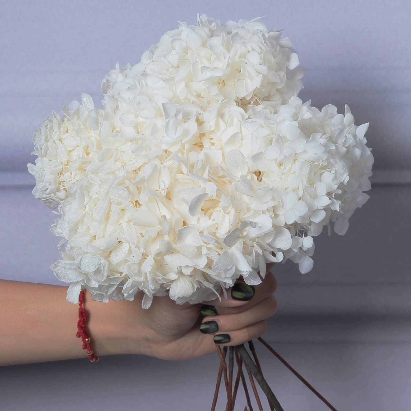 5 PCS Dried Preserved White Hydrangea Flowers – Length 14” Corolla Size 3”-