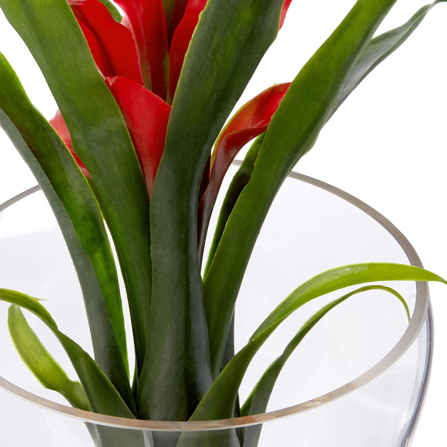 8In. Tropical Bromeliad in Angled Vase Artificial Arrangement
