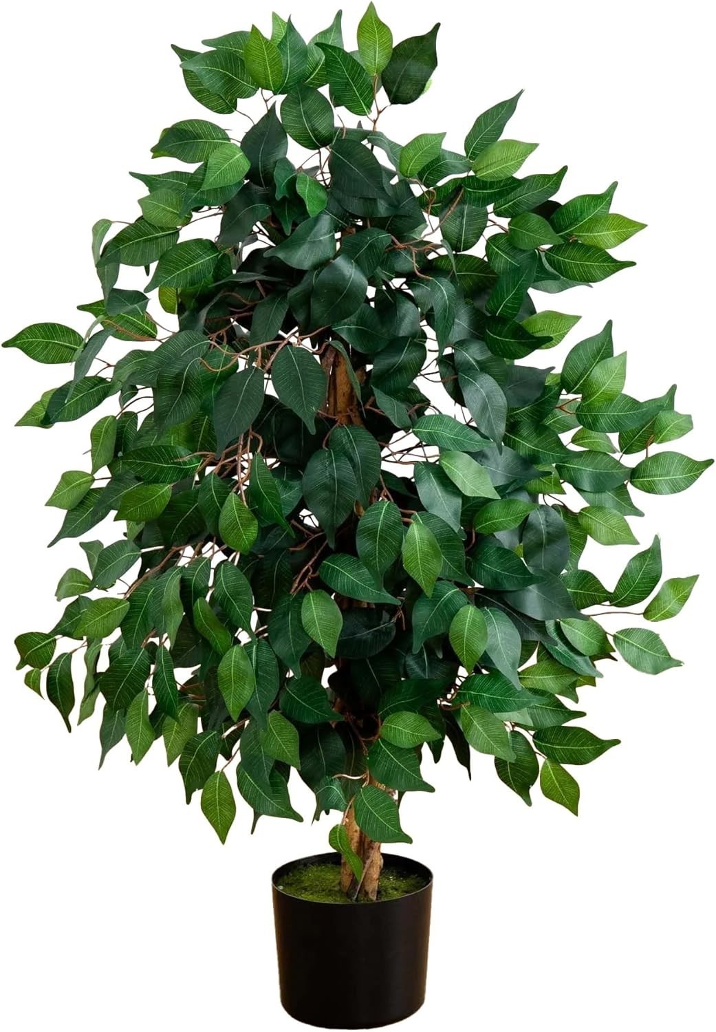Elegant 36in Ficus Tree with 378 Leaves – A Touch of Green for Every Home