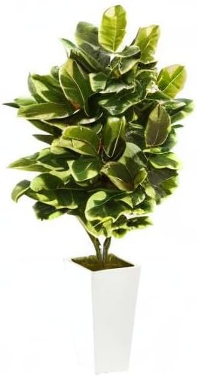 20″ Variegated Rubber Leaf Plant in Elegant White Tower Vase