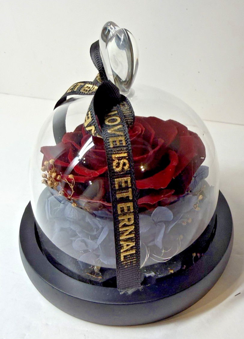Real Preserved Forever Rose LED Eternal Rose For Your Eternal Love In Glass Dome